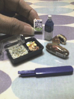 20051204.gif