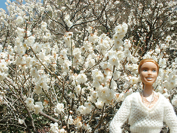 20060225-02.gif
