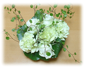 20060513.gif