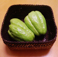 20061023.jpg